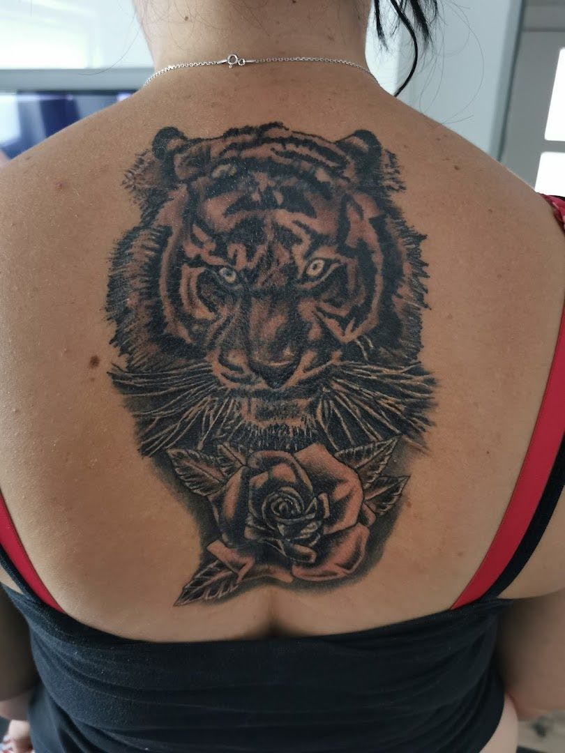 a woman with a tiger narben tattoo on her back, recklinghausen, germany
