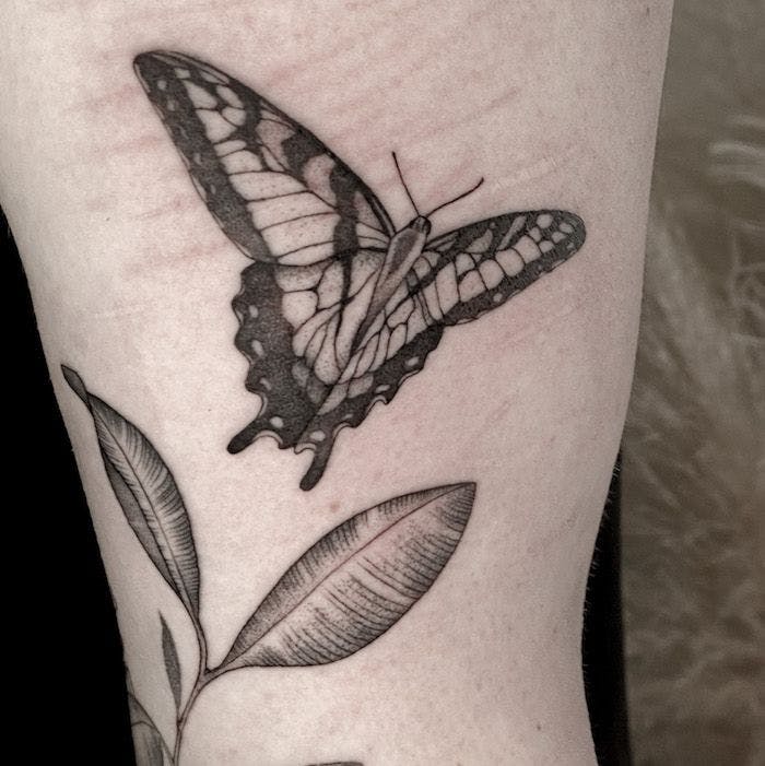 a black and white butterfly cover-up tattoo on the forearm, bielefeld, germany