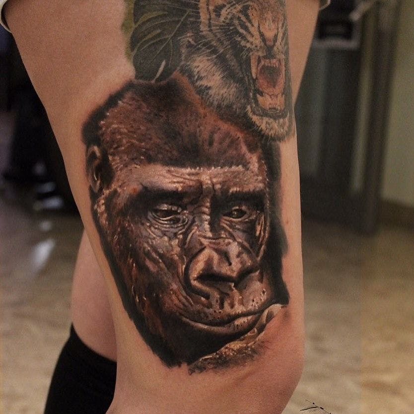 a narben tattoo of a gorilla and a lion on the back of a man, kreisfreie stadt heilbronn, germany