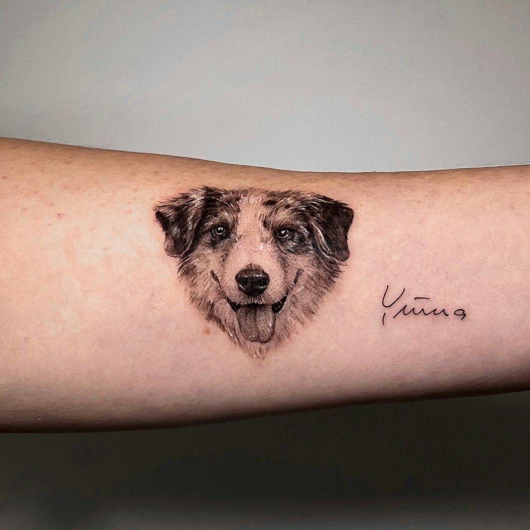 a dog narben tattoo on the arm, kreisfreie stadt augsburg, germany