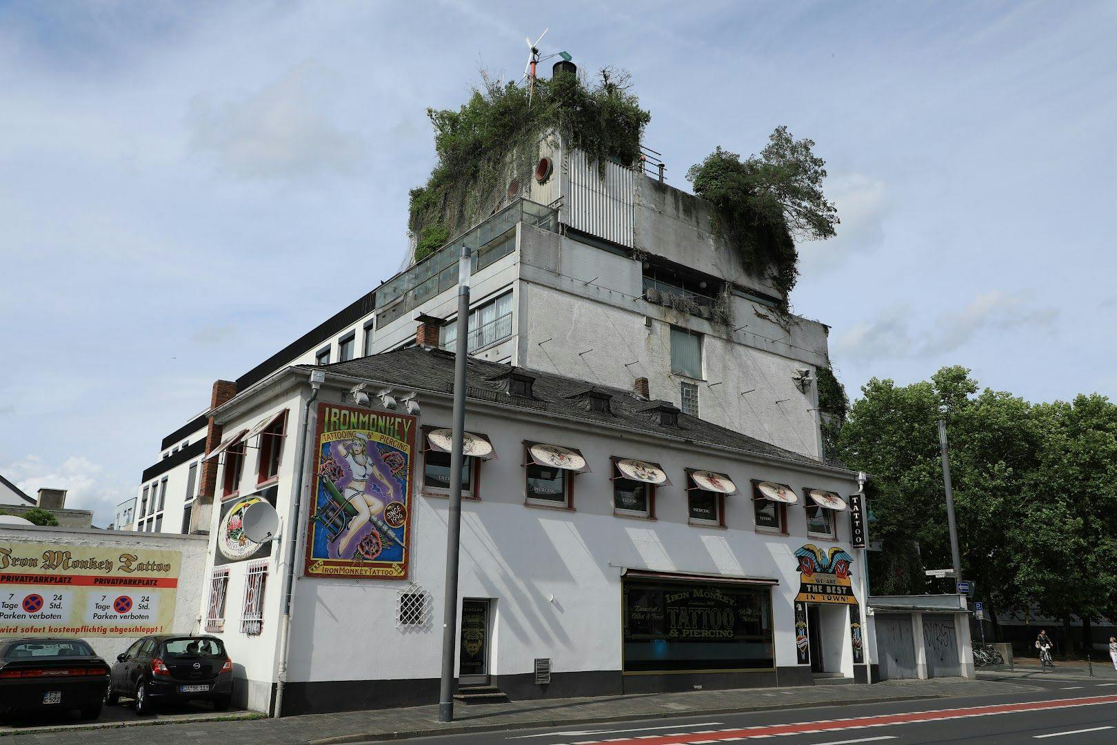 a building with a tree growing on the top