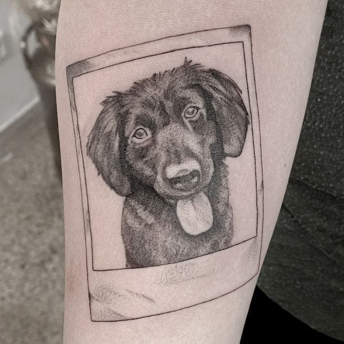 a black and white dog portrait cover-up tattoo on the right forearm, bielefeld, germany