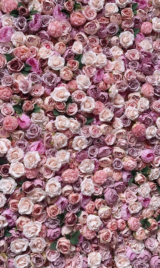 a large pile of pink roses