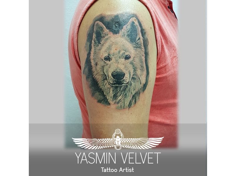 a narben tattoo artist with a wolf on his arm, dresden, germany